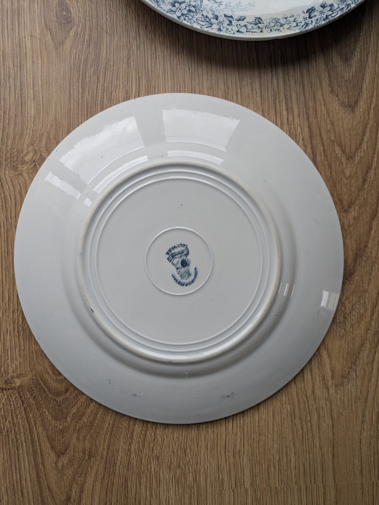 Duo d'Assiettes Plates "Colombier" – Terre de Fer Saint-Amand (XIXe)