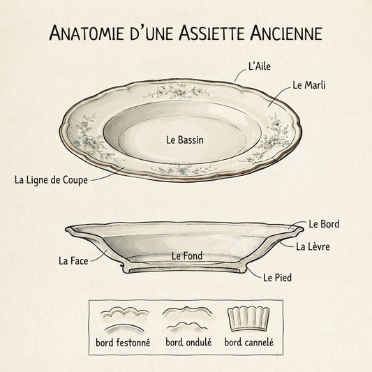 anatomie d'une assiette