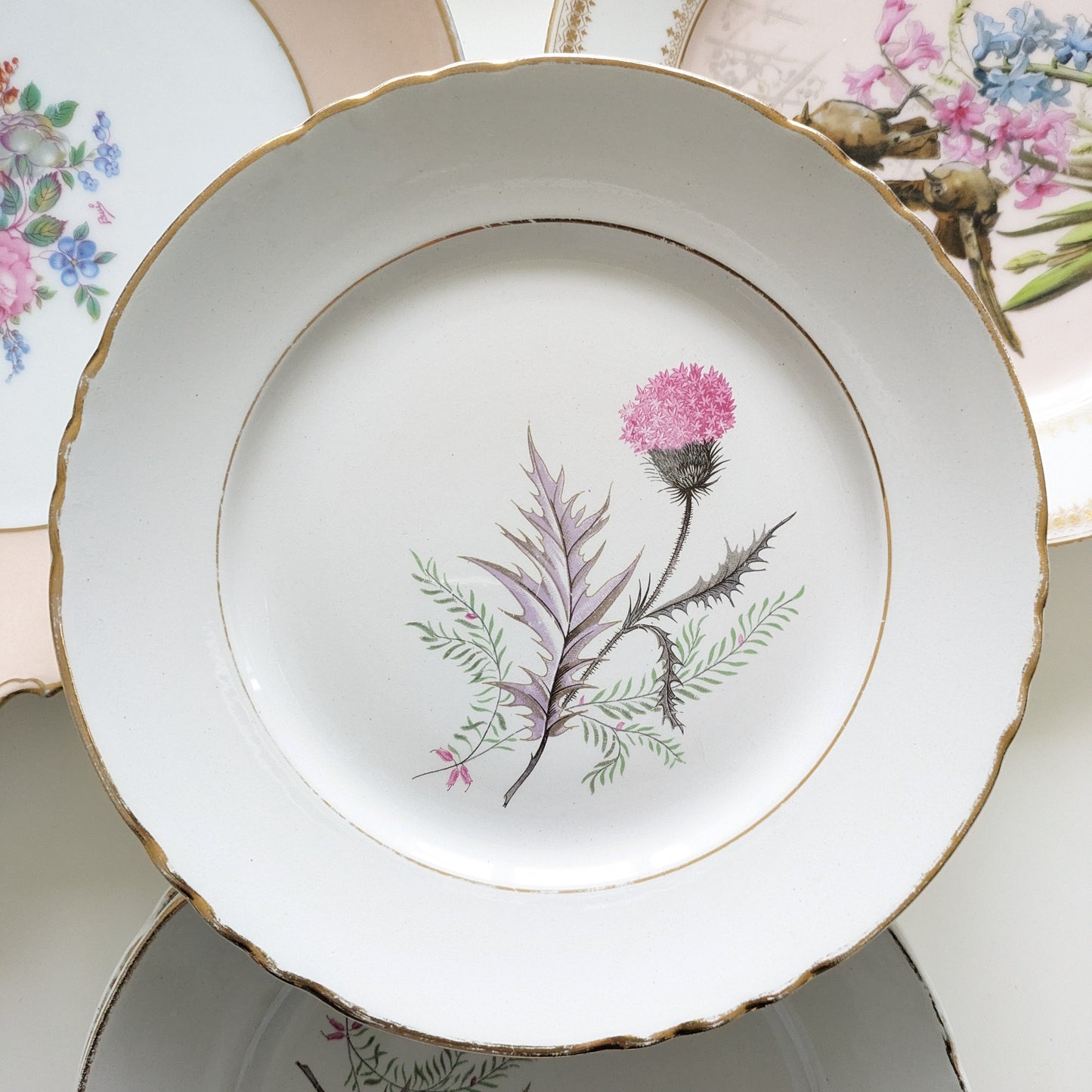 Moulin des Loups Orchies flat plate with thistle motif