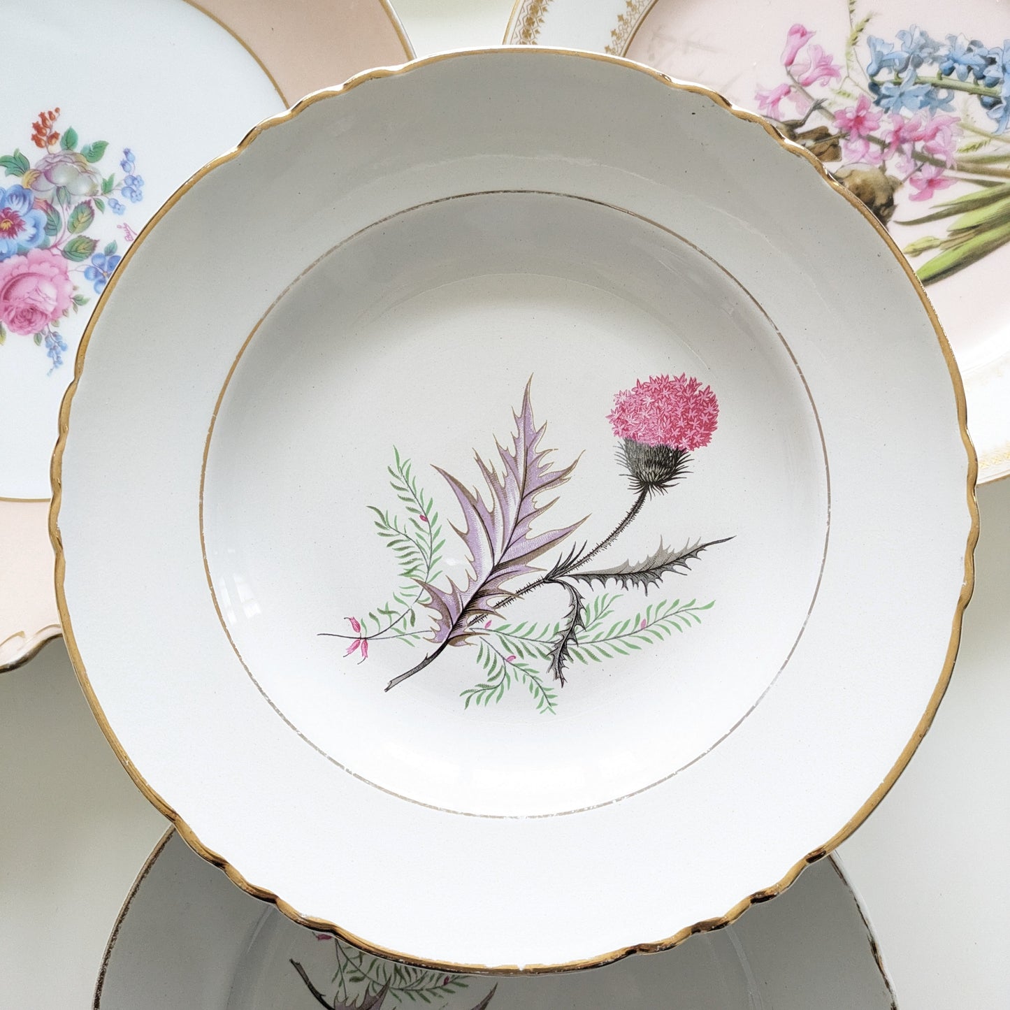 Moulin des Loups Orchies deep plate with thistle motif