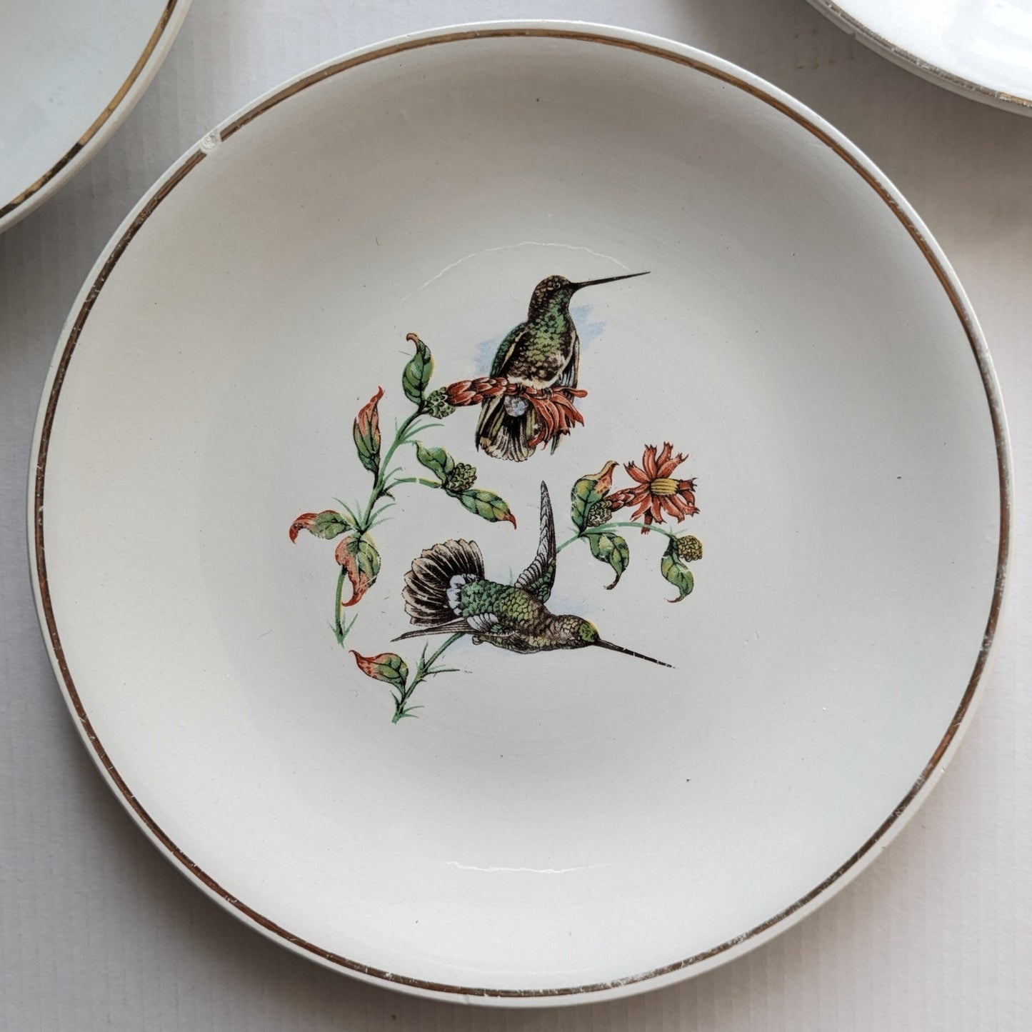 Assiettes K et G Lunéville oiseaux