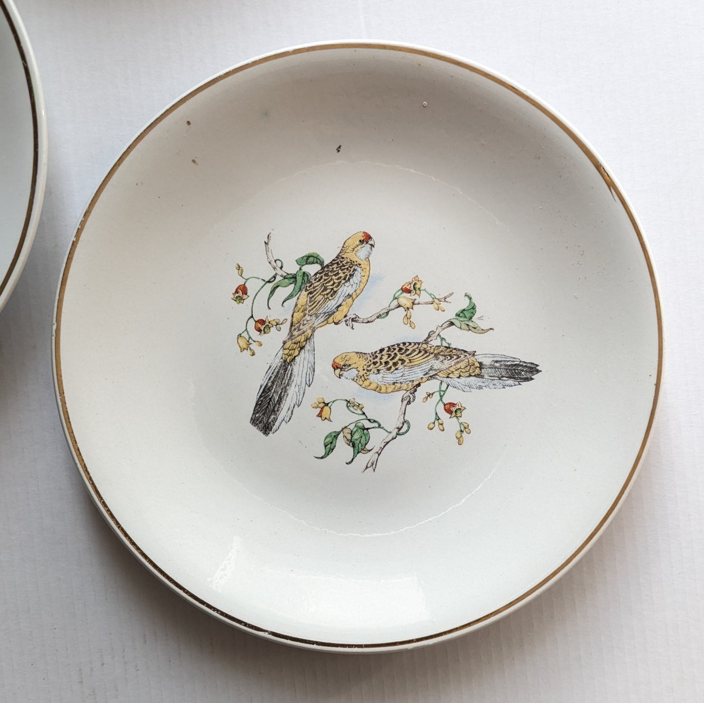 Assiettes K et G Lunéville oiseaux