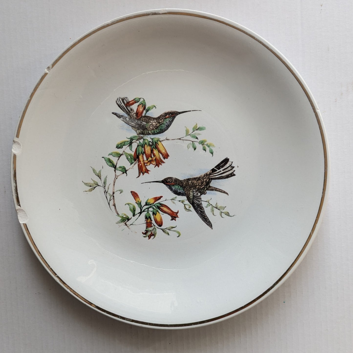 Assiettes K et G Lunéville oiseaux