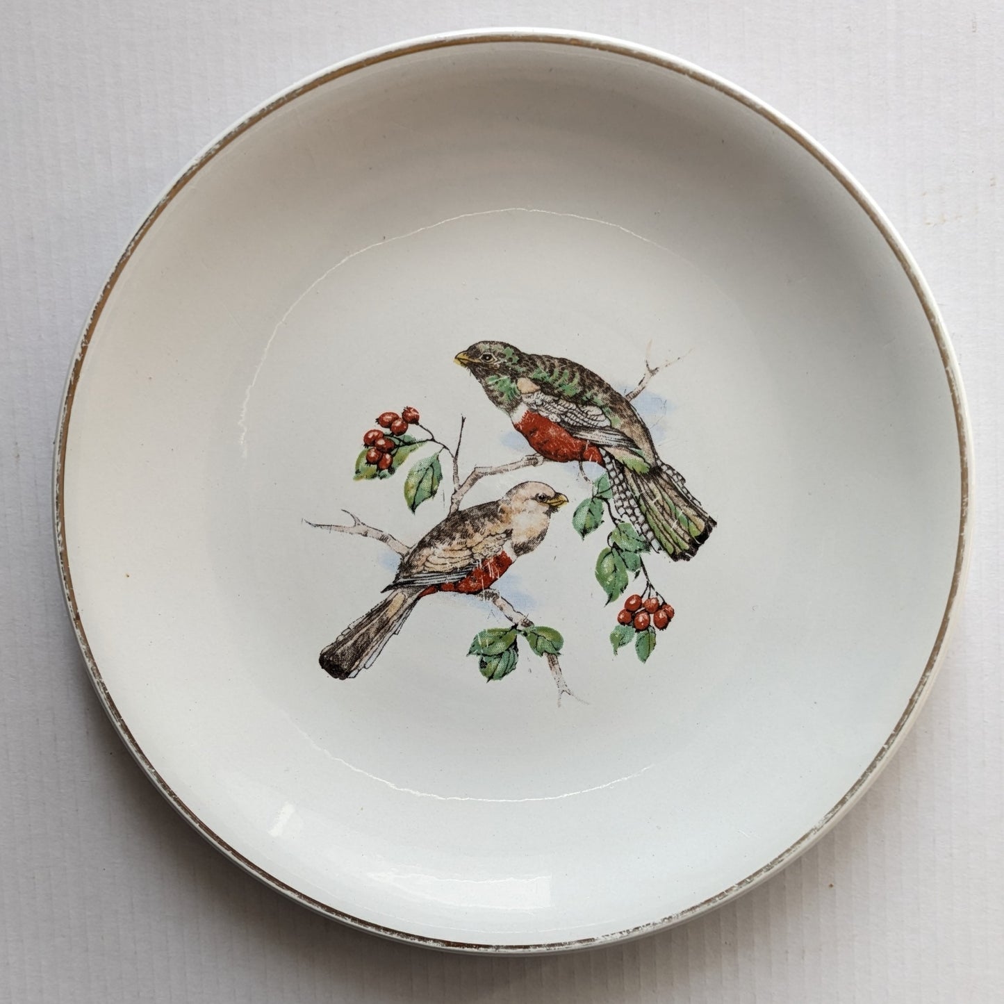 Assiettes K et G Lunéville oiseaux