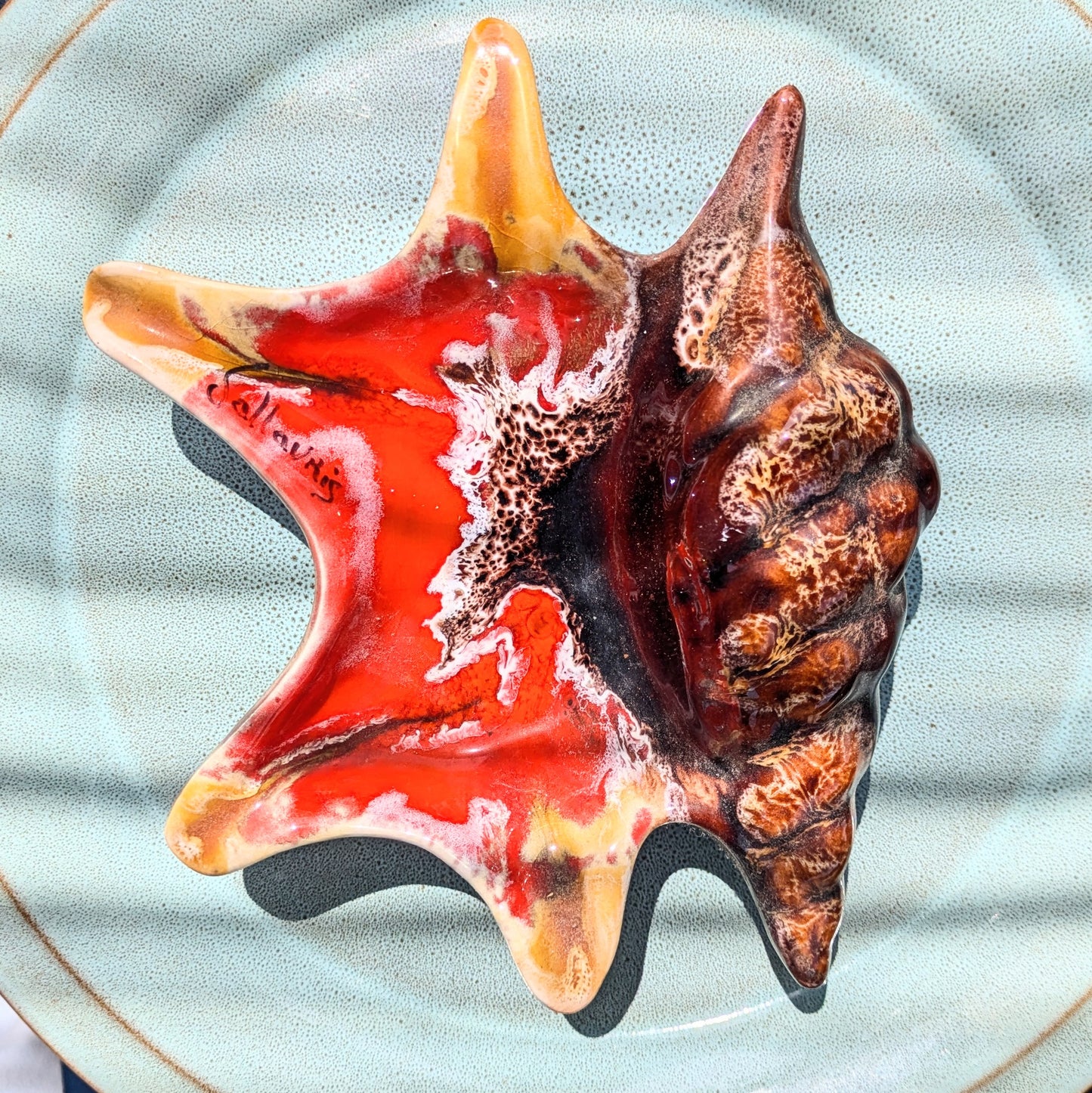 Coquillage en céramique Vallauris 