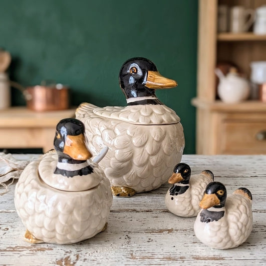 Ensemble canards en céramique barbotine salière poivrière moutardier et terrine 