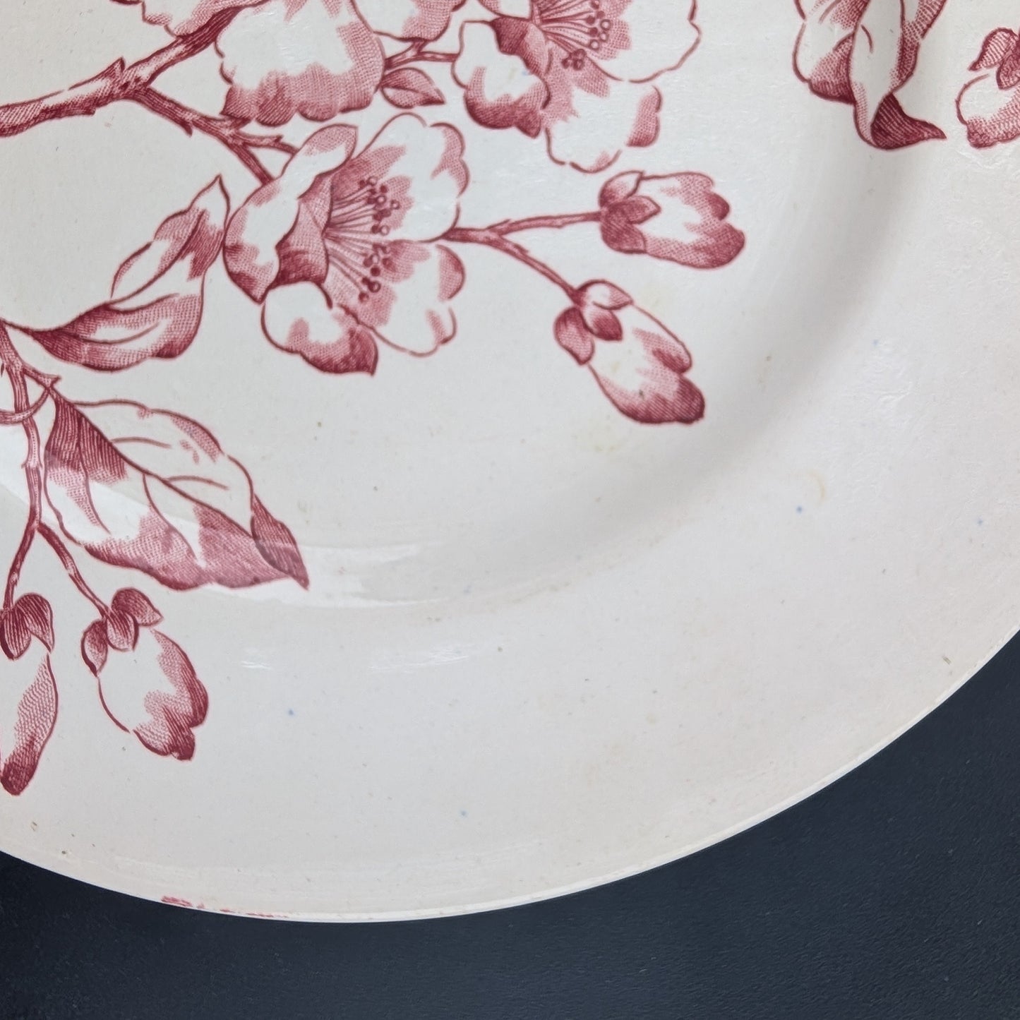 Assiette Terre de Fer Longwy Modèle Pommier