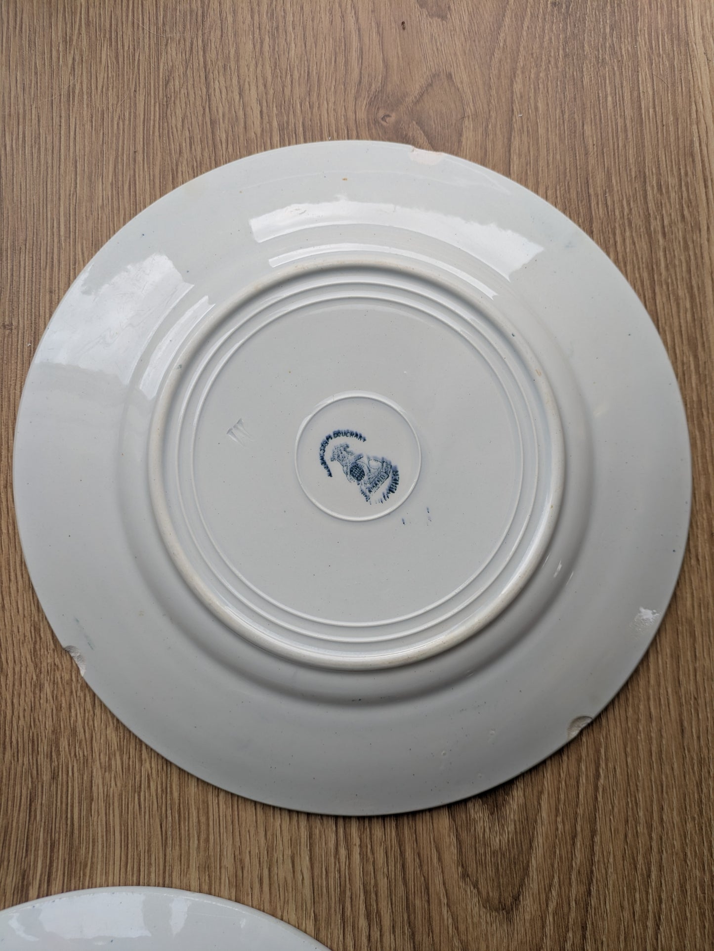 Duo d'Assiettes Plates "Colombier" – Terre de Fer Saint-Amand (XIXe)