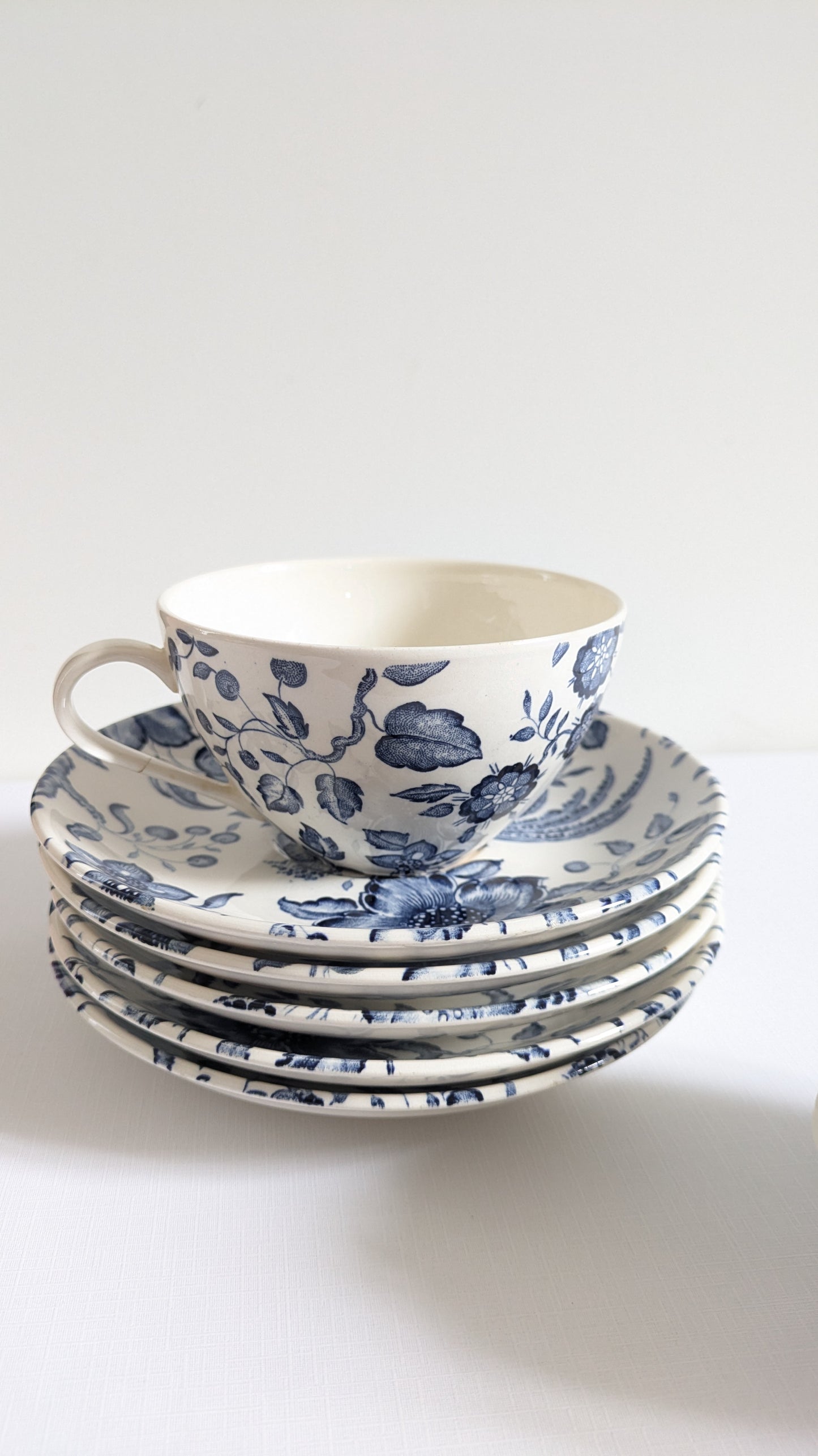 Lot 2 Tasses & 5 Sous-tasses Villeroy & Boch Paradiso - Faïence Vintage Bleu & Blanc