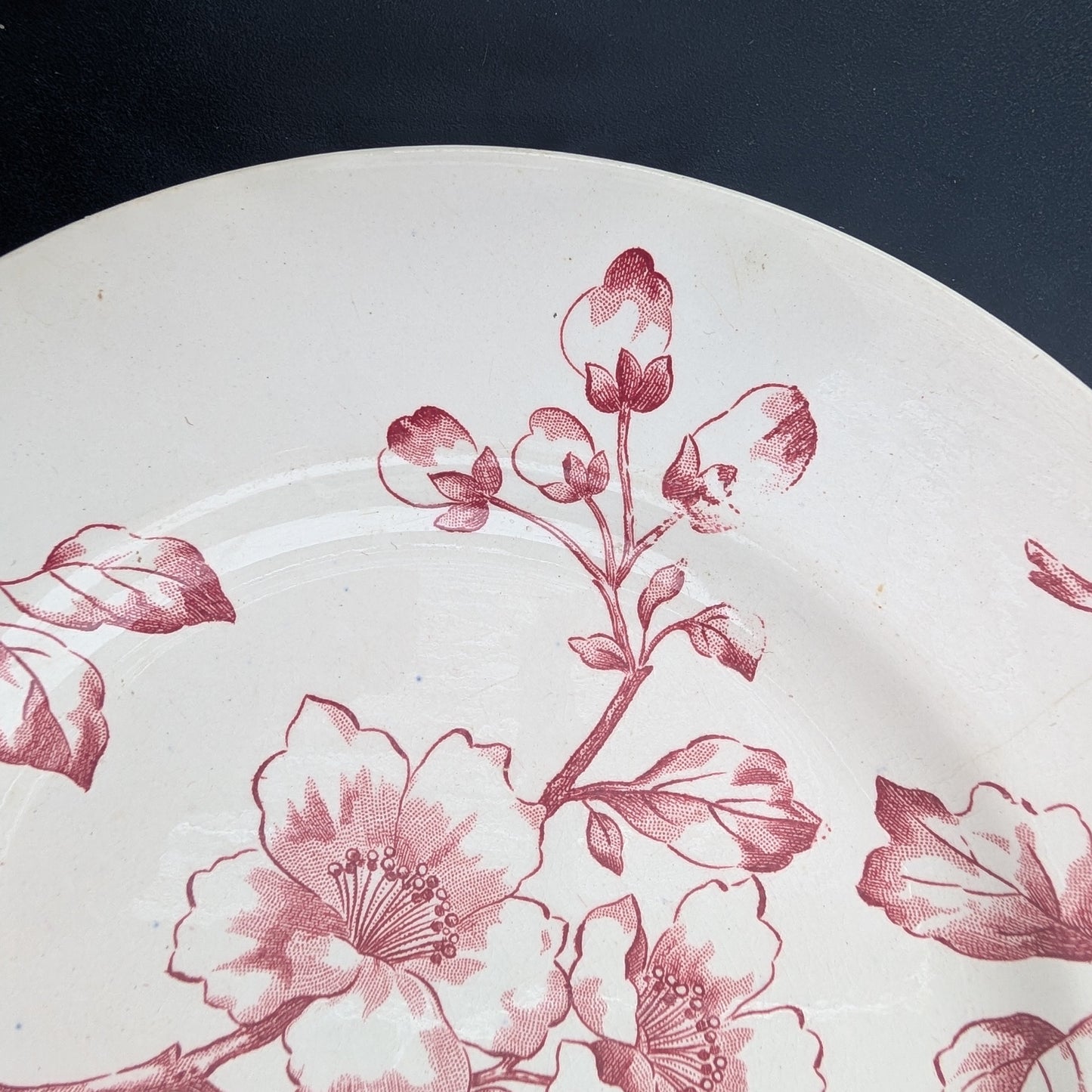 Assiette Terre de Fer Longwy Modèle Pommier