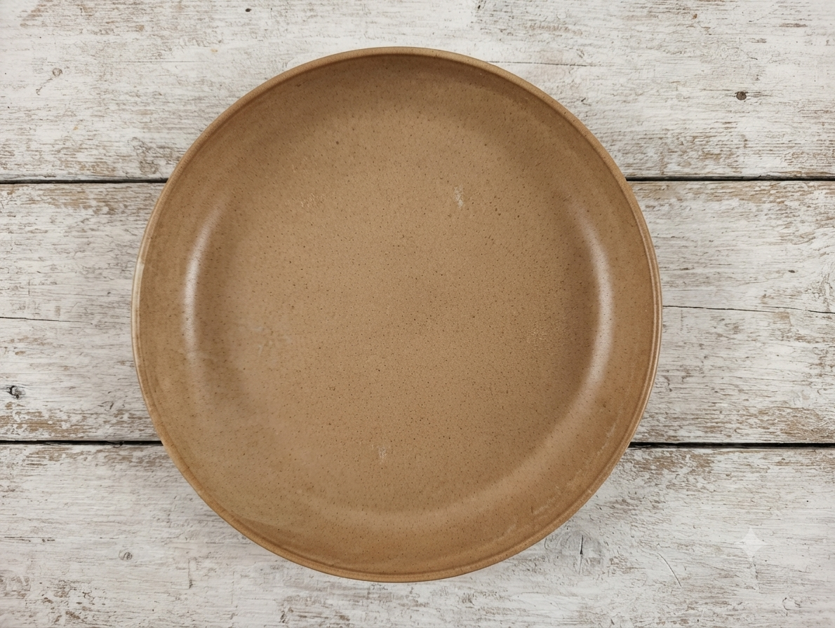 Plat Creux Rond en Grès Vintage – "Grès Village" France